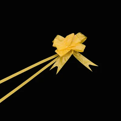 Printed PP Pull Bow Ribbon for Gift Packaging