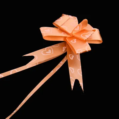 15x250mm Heart Printed Pull Bow Ribbon