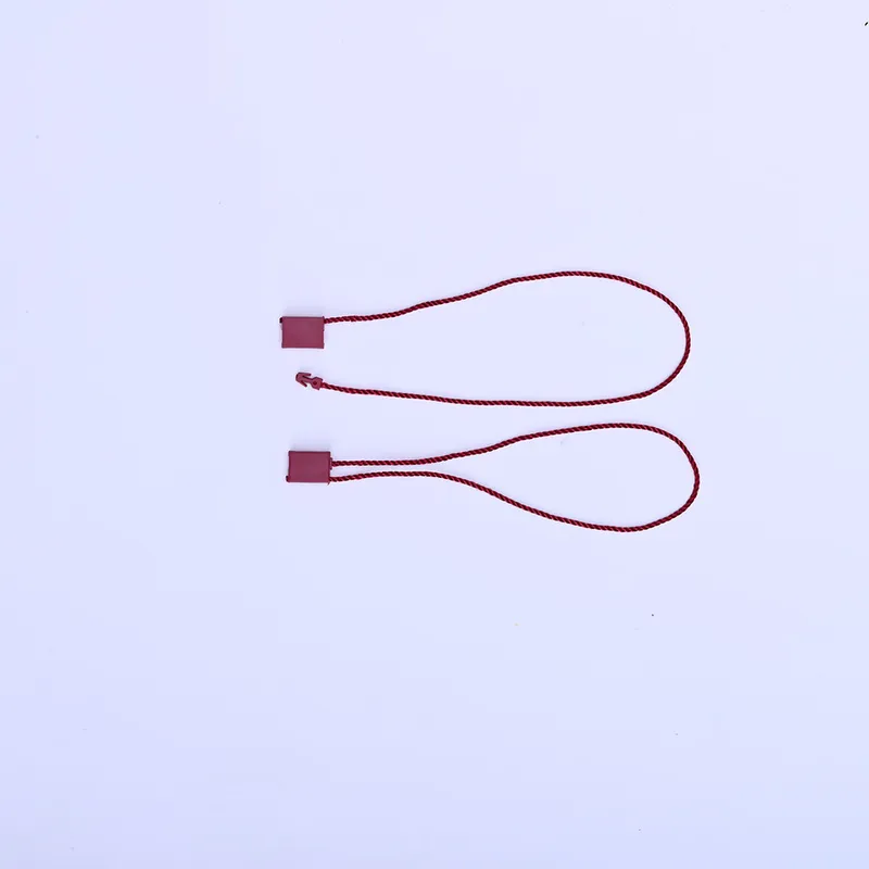 Plastic Lock Hang Tag
